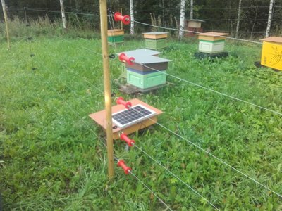 2018. aastal rajatud eeskujulik kiskjakahjude ennetusaed mesila ümber Valgamaal.
