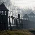 В Германии начато расследование в отношении 49 бывших надзирателей Освенцима