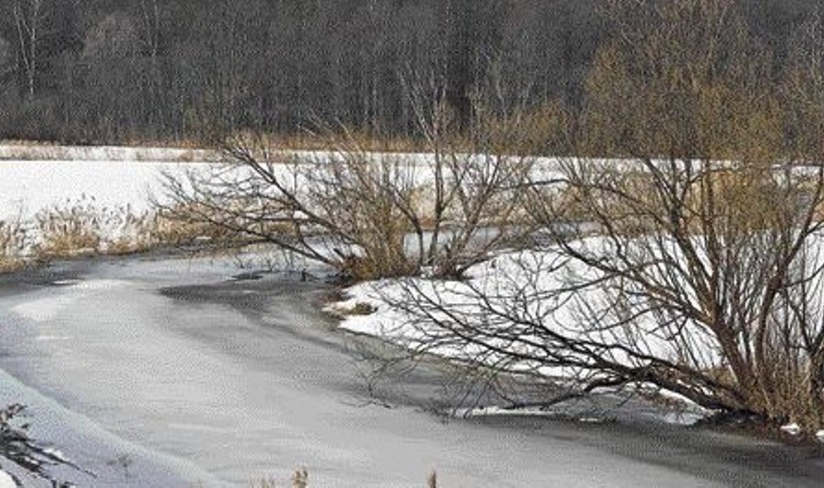Õhus on kevadet. Raudna jõgi Kuusekääral Soomaal.