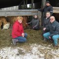 Talu, kus on viis perenaist ning lehmad saadavad SMSe