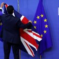 Keit-Pentus Rosimannus: Suurbritanniat tundub ootavat ees uus referendum