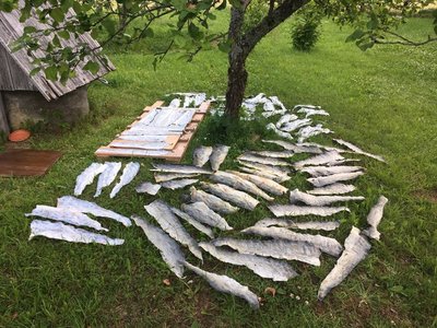 Pargitud kalanahad, millest soovijad saavad Liivimaa Maapäeval valmistada rahatasku.
