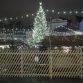 Linnavalitsus pani põhjapõtrade eksponeerimisele jõuluturul novembri lõpust jaanuarini käe ette