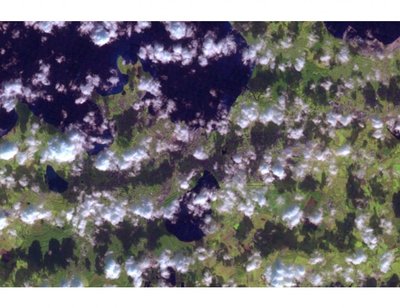 Landsat 5 vaade Tallinnale