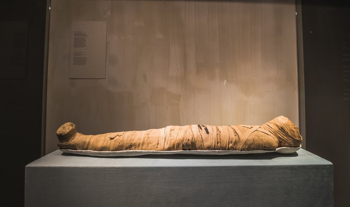 NÄITUSE TÕMBENUMBER: Sarkofaagid ja muumiad on Vana-Egiptuse näituse kohustuslik osa.