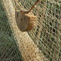 Põltsamaa koolipoiss leiutas kaluritele võrguleidja