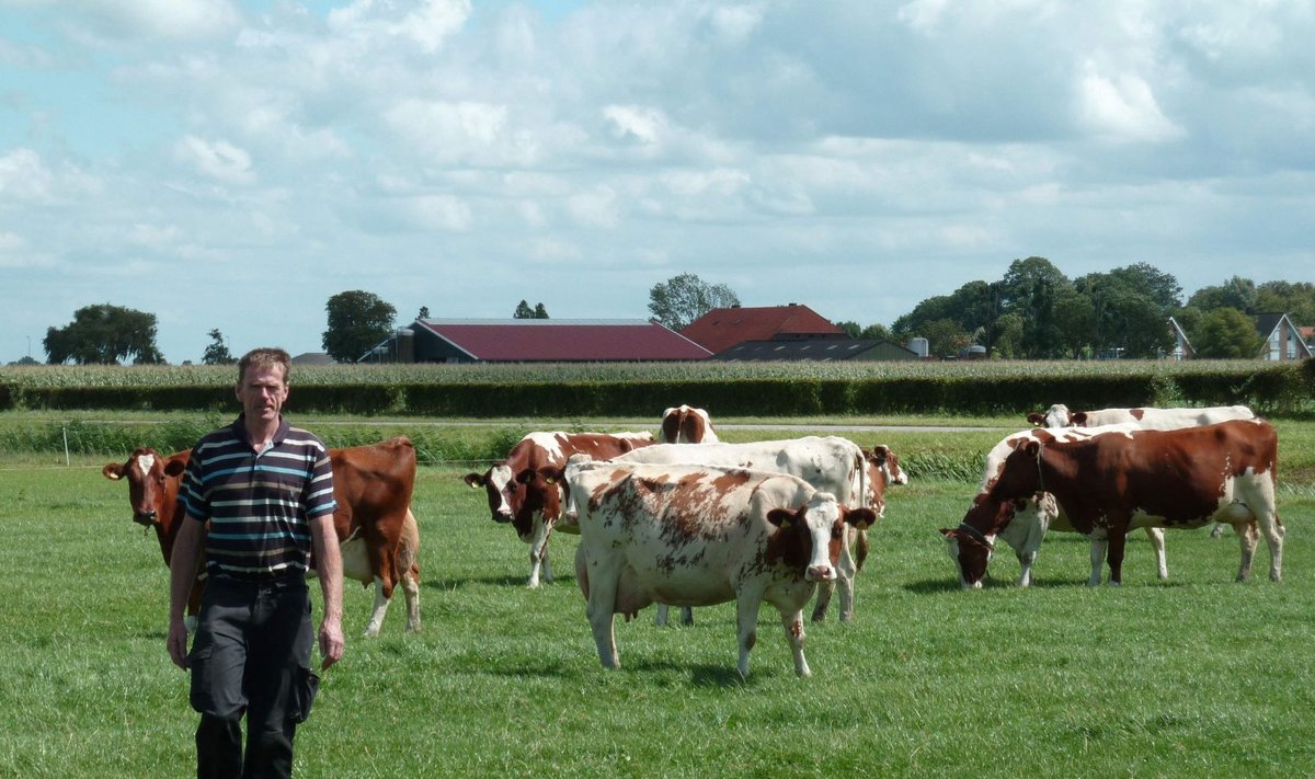 Hollandi piimatootja Gerard Hartveld