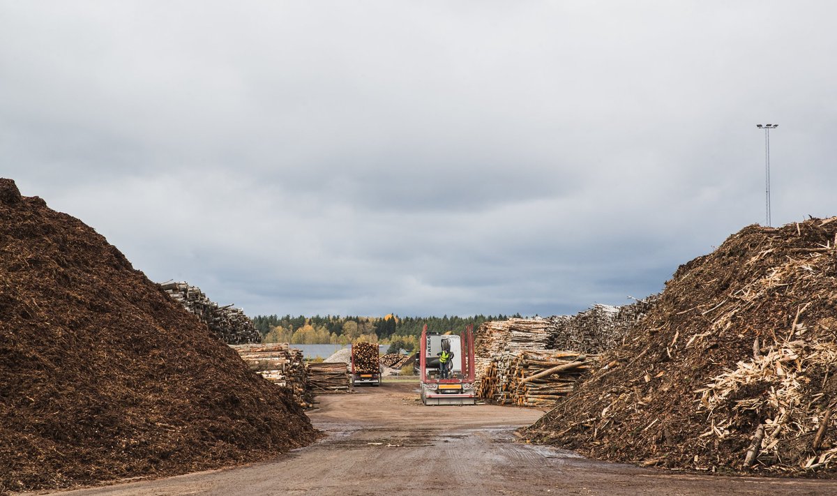 Euroopa kõrgete ametnike hinnangul on Eesti puit puidugraanulite tegemiseks liiga väärtuslik.
