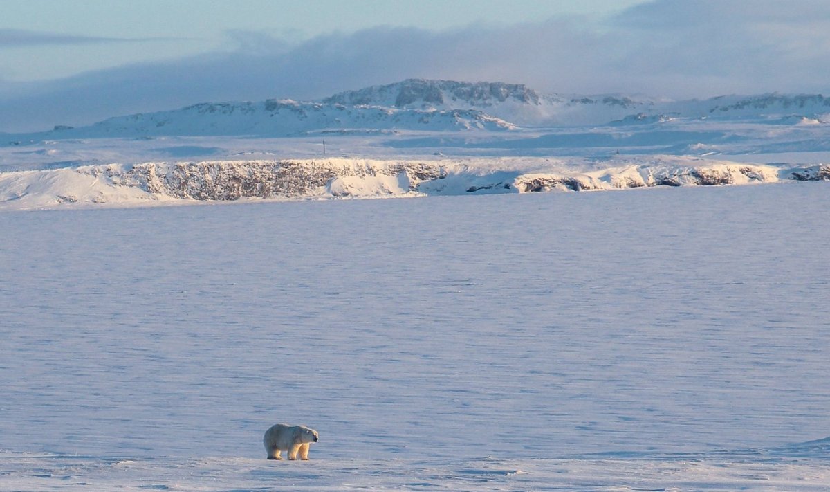 Novaja Zemlja jää all võib peituda veel nii mõnigi saar, arvavad spetsialistid.