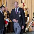 VIDEO | Tantsuplatsi kuningas! Prints William lustis Londoni ööklubis