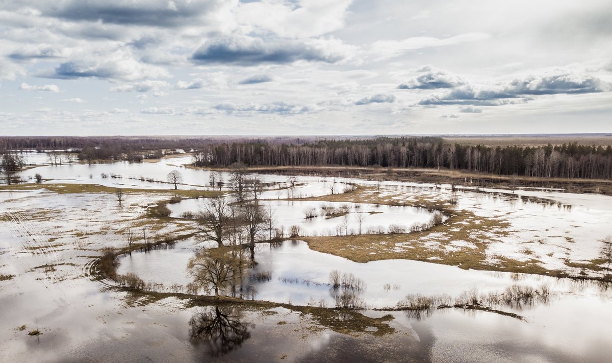 Soomaa üleujutused 2019 märts