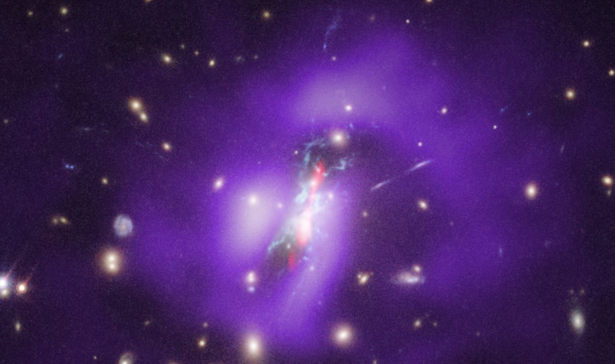 Fööniksi galaktikaparve keskel olev tavapärasest nõrgem must auk võimaldab tähtede teket.