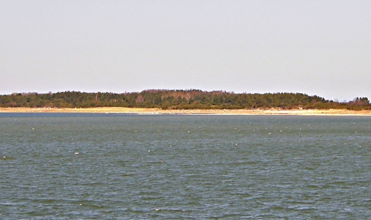 Hobulaid (rootsi keeles Hästholm) on piklik laid Väinameres Vormsi ja Rohuküla vahel.Saare pindala 75 ha ja kõrgus kuni 6,6 meetrit. Hobulaid on põhja-lõuna suunas piklik ning kuni 2,5 kilomeetrit pikk. Hobulaiu põhiosa moodustab radiaalne oos, mille meri on ümber kujundanud. Laiul kasvab lehtmets (sanglepad, kased, saared), võsa ja kadastik.Hobulaidu mainiti esmakordselt 1391. aastal. Keskajal peeti seal Haapsalu piiskopilinnuse sälge.Hobulaiul on karjamaa ja see on ka suvituskohaks.Saarel asuvad tulepaak ja teised meremärgid.Hobulaiu lähedal asuvad Obholmsgrunne (Upholm), Odrarahu ja Varsarahu.
