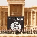 СМИ сообщили об уничтожении лидера ИГ в Ракке