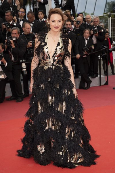 CANNES: Photocall "The Dead Don't Die" and Opening Ceremony red carpet - The 72nd International Cannes Film Festival
