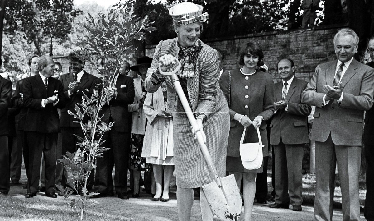 Taani kuninganna lõi Margrethe II 1992. aasta labida mulda ja istutas Kadriorgu puu.