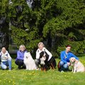 Vaata, millised koeratõud on Eestis teraapiakoertena kõige populaarsemad