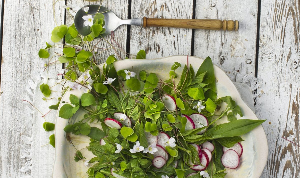 Õitsev umbrohusalat