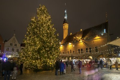 Jõulupuu Tallinna Raekoja platsil