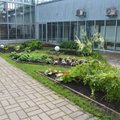 Tallinna botaanikaaed saab uue hoone