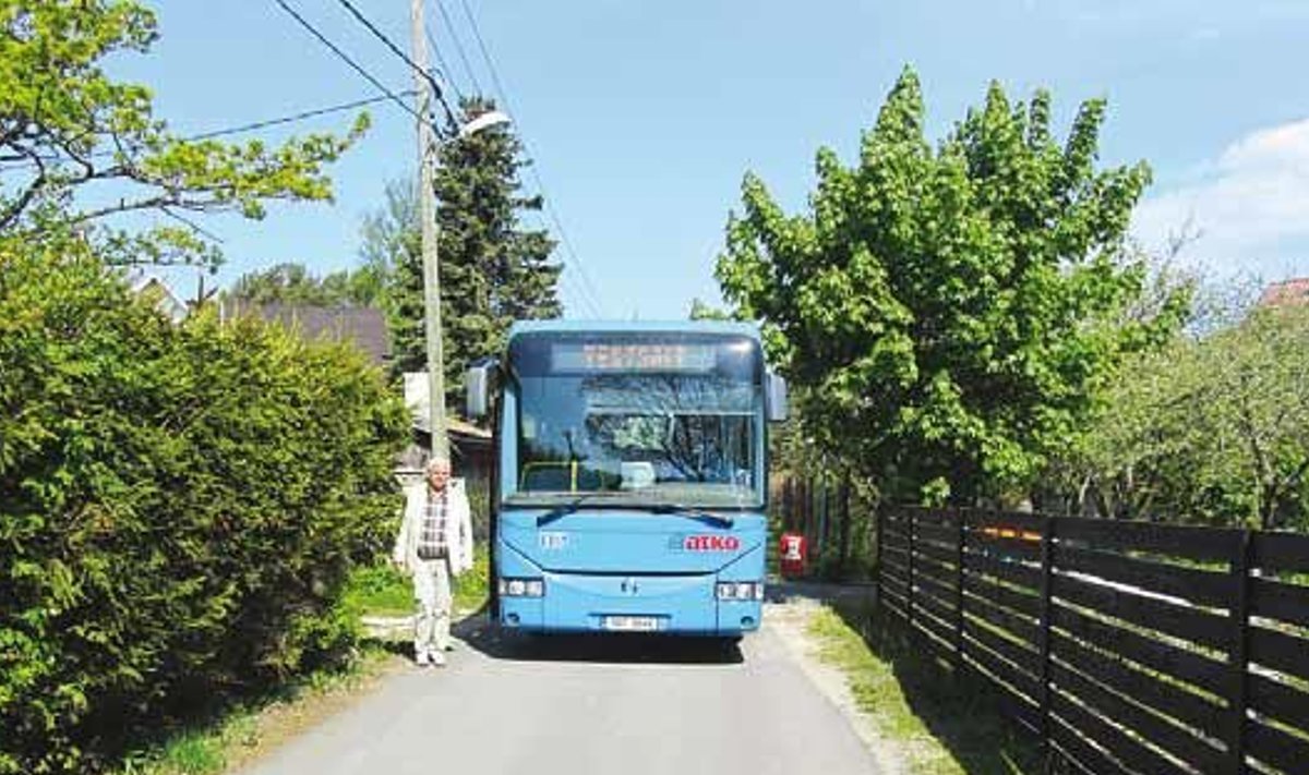 Buss ja jalakäija Luhaääre teel – teemaale on istutatud hekk ja osaliselt ulatub sinna ka aed.
