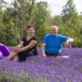12 000 taimega Harjumaa lavendlitalu peremees: ma polnud ihusilmaga lavendlit varem näinudki!