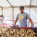 Viljandimaa kartulikasvataja: kartuli söömine väheneb, sest inimestel pole aega koorida ega isegi keeta