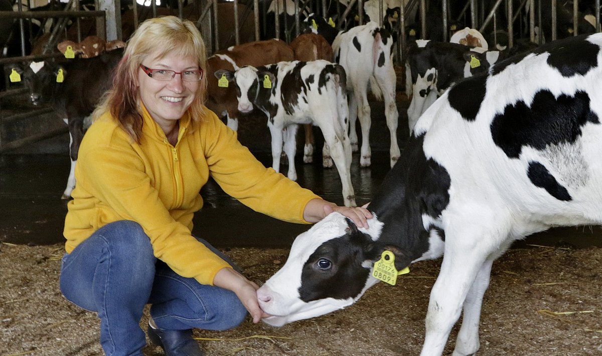 "Oleme piimakarja kohta kogunud väga palju  andmeid, mida võiks kursuse- ja lõputöödes analüüsida," innustab Birgit Aasmäe Eerika katsefarmi võimalusi veelgi rohkem tudengite õppetöös kasutama.
