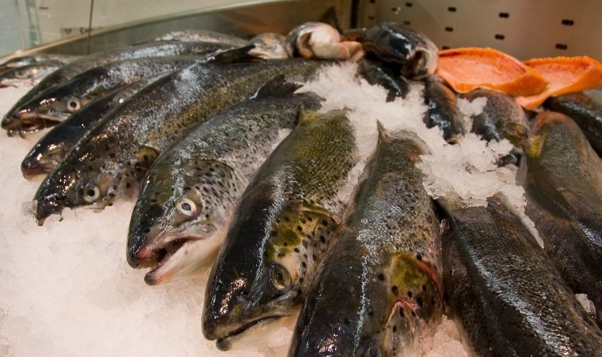 Turgude kalamüüjad ei ole jaekettide hinnaralliga kaasa läinud.