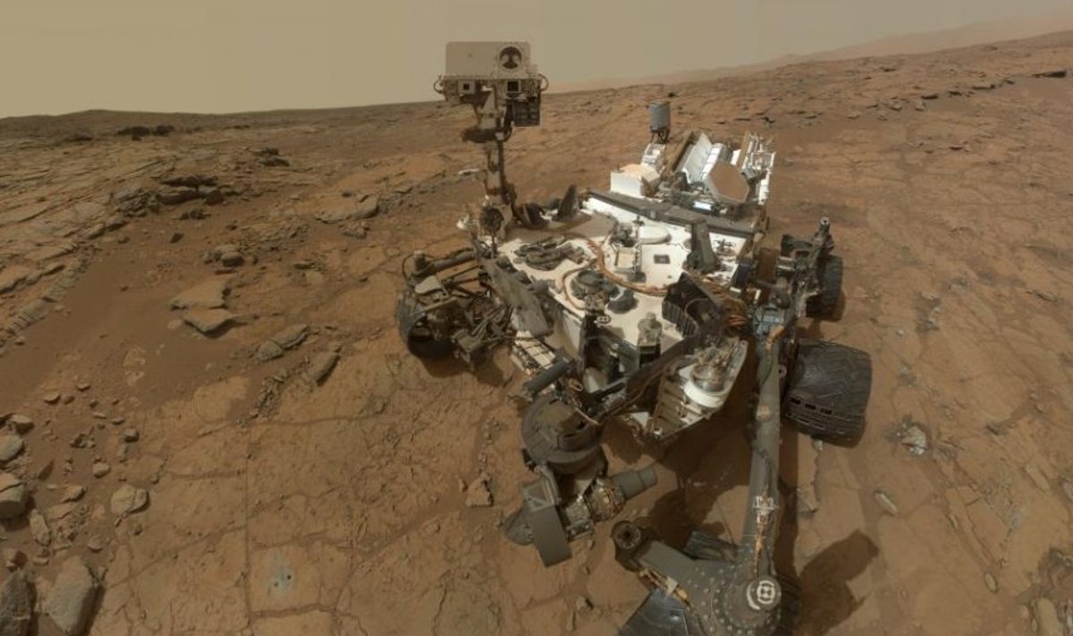 Curiosity autoportree Marsil.