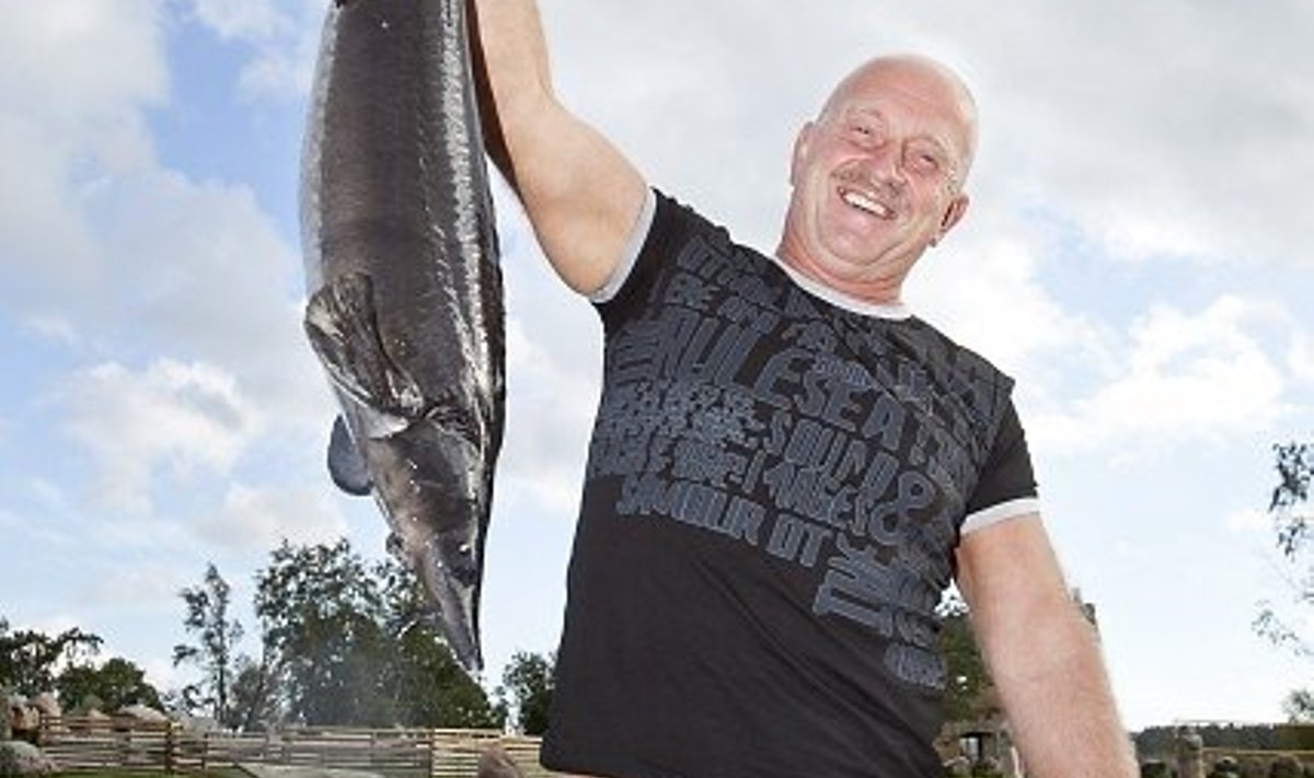  “Kalakasvatus  on väga perspek­tiivikas, sest nõudlus üha suureneb,”  näitab Hans  Kruusamägi  tuura, mille  võrguga oma  kalabasseinist  välja tõmbas.