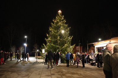 Kärdla jõulupuu