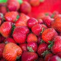 Maasikakasvatajate liidu juht: arvan, et kahtlased maasikad olid pärit piiri tagant