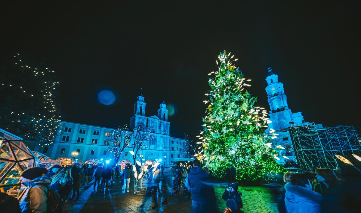 Kaunase jõulupuu
