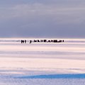 С 7 января частично разрешен выход на лед Псковского и Теплого озер и Нарвское водохранилище