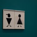 Seinasisene WC-pott — esteetiline ruumisäästja