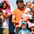 Австрия вводит лимит на прием мигрантов