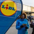 Кампания по вербовке сотрудников Lidl оказалась успешной: работники для первых восьми магазинов найдены