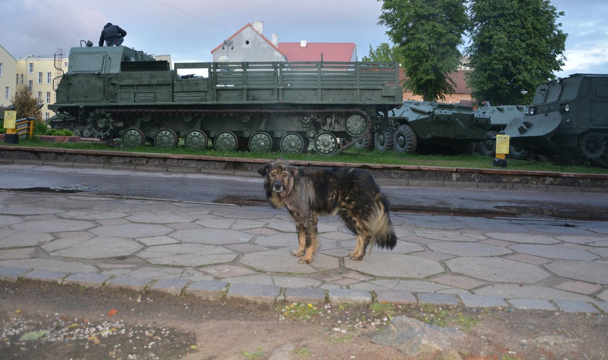 Sovetskis üle piiri tulijat tervitab vanast sõjatehnikast moodustatud II maailmasõja memoriaal, mida lapsed ja hulkuvad koerad kasutavad mänguväljakuna.