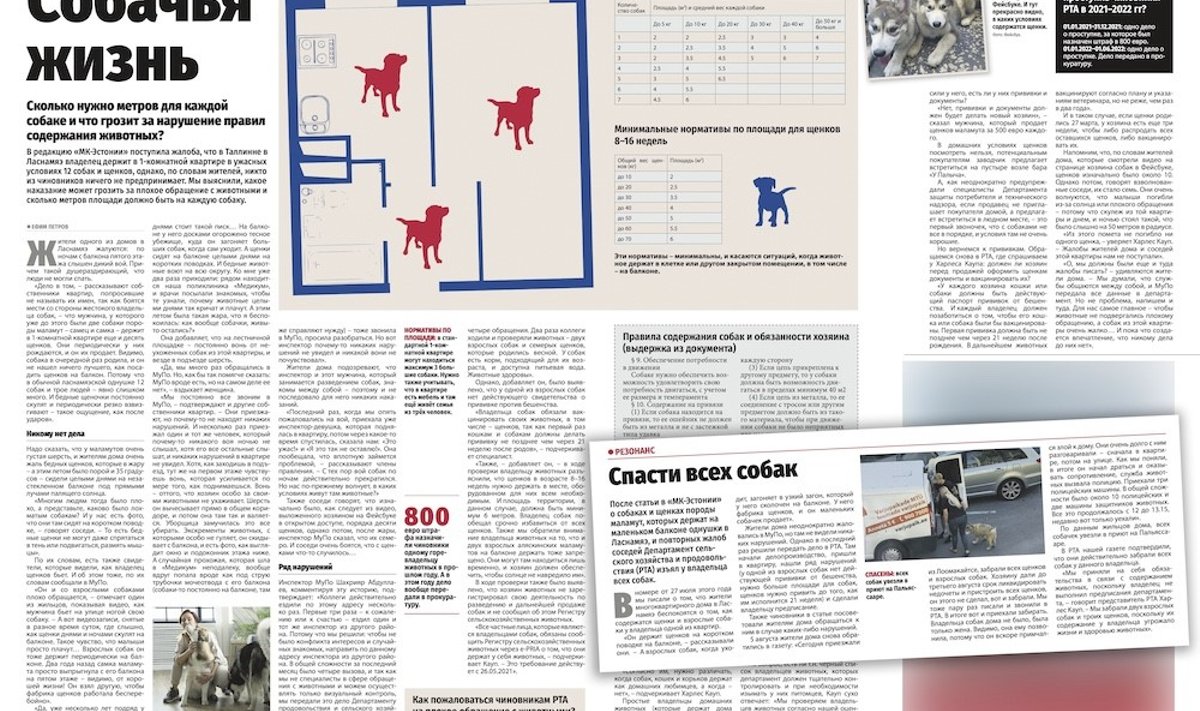 Год спустя: впервые «МК-Эстония» написала об этой ситуации летом прошлого года. Сейчас на данную проблему обратила внимание и эстонская пресса – но чиновники уверяют, что с собаками все в порядке. 