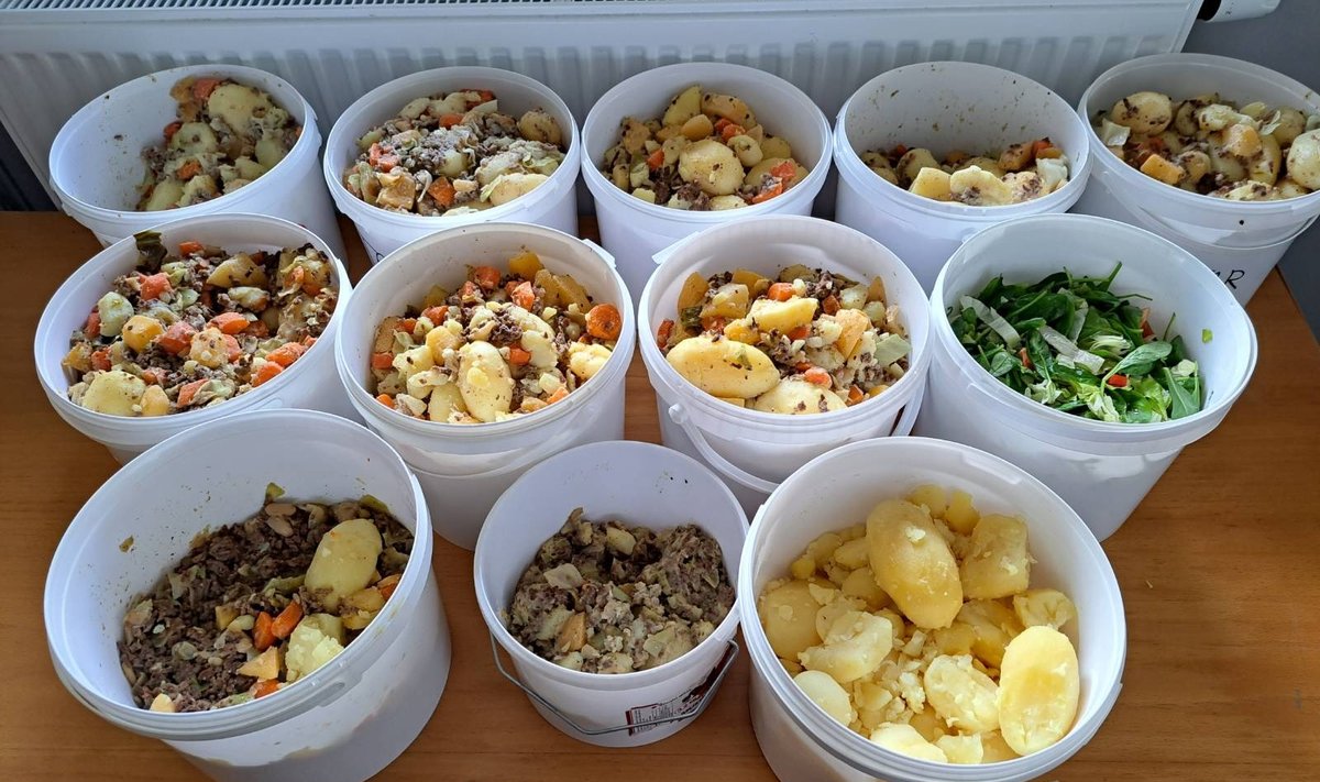 Nii palju päästis Foodsharing Tartu koolitoitu ühel septembrikuu koolipäeval. Keskmiselt jääb Tartus ühel päeval ühes koolis üle 3-4 kg koolitoitu.