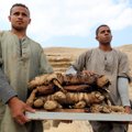 Egiptusest leiti terve hulk kassmuumiaid, kes olid tõenäoliselt kägistatud