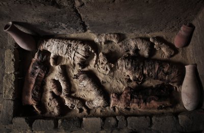 Mumifitseeritud kassid