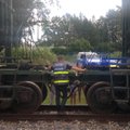 ФОТО: Ребенок на велосипеде попал под поезд, пытаясь объехать железнодорожный переезд по траве