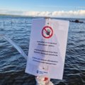 Наконец-то! Пляж Штромка очищен от загрязнения
