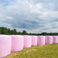 FOTOD | Põllumehed annavad roosade silopallidega panuse rinnavähi varajaseks avastamiseks