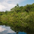Невероятная история из Бразилии: двое детей месяц блуждали в джунглях и выжили только на дождевой воде