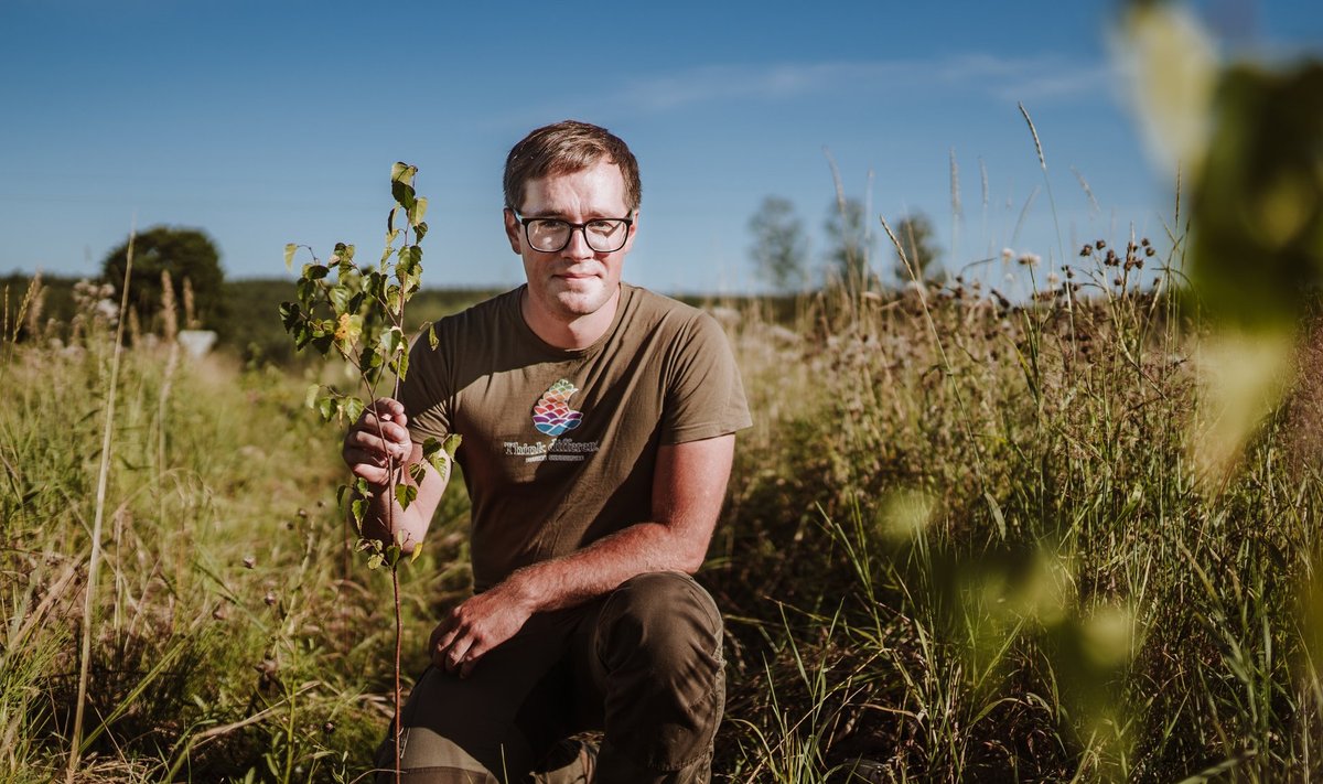 Metsandusdoktor Reimo Lutter näitab puupõllule kasvama pandud arukaske.