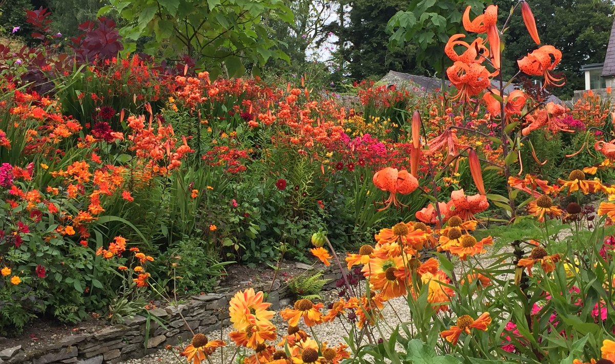 Osa June Blake’i aiast on üles ehitatud valdavalt soojas koloriidis, kus andsid tooni mitme sugused kaeralilled, heleeniumid, leeklilled ja liiliad.