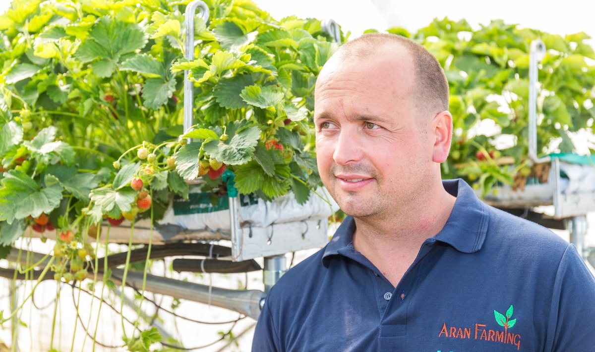 Rahvas armastab maasikaid ja valis rahvapõllumeheks maasikakasvataja Paavo Otsuse.